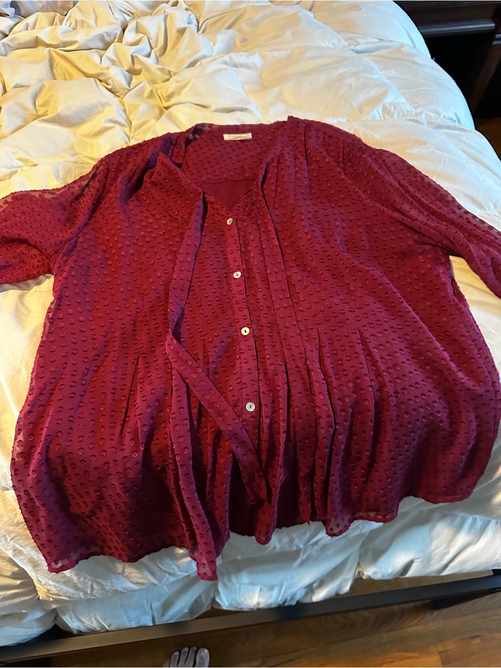 Meadow Rue Textured Button-Front Blouse in Berry